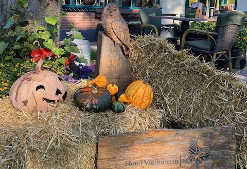 27 oktober Herfstmidweek