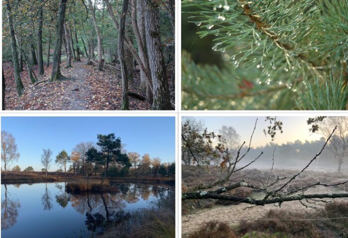 Herfstweekend 31 oktober