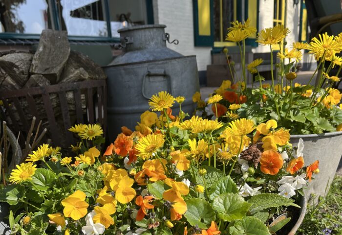 Eibertjes weekend vrijdag 15 mei 2026, vol geboekt