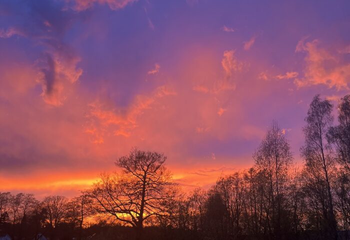 Hemelvaart midweek maandag 11 mei 2026